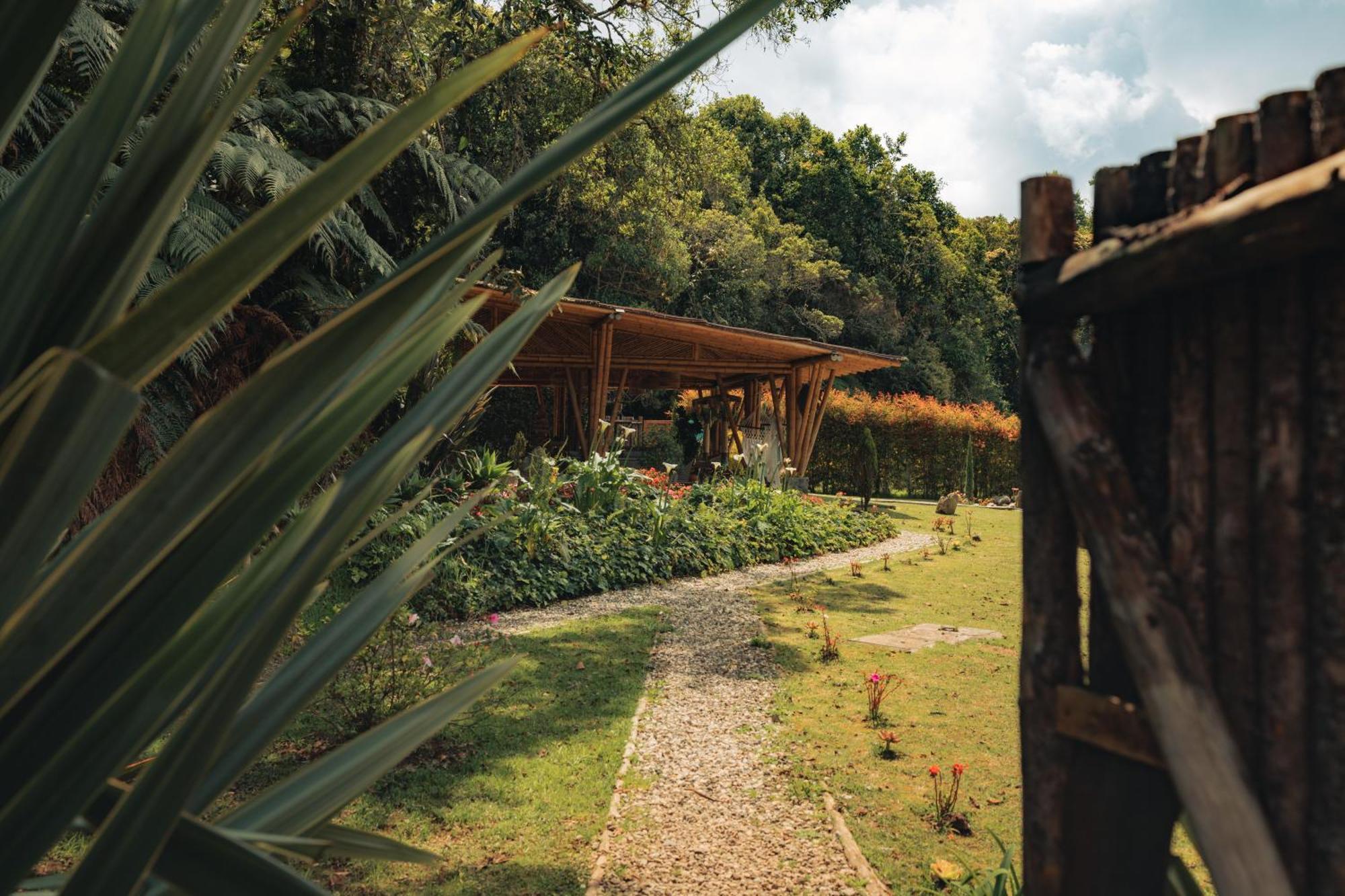 Bubblesky Glamping 15 Min From Medellin Hotell Rionegro Exteriör bild