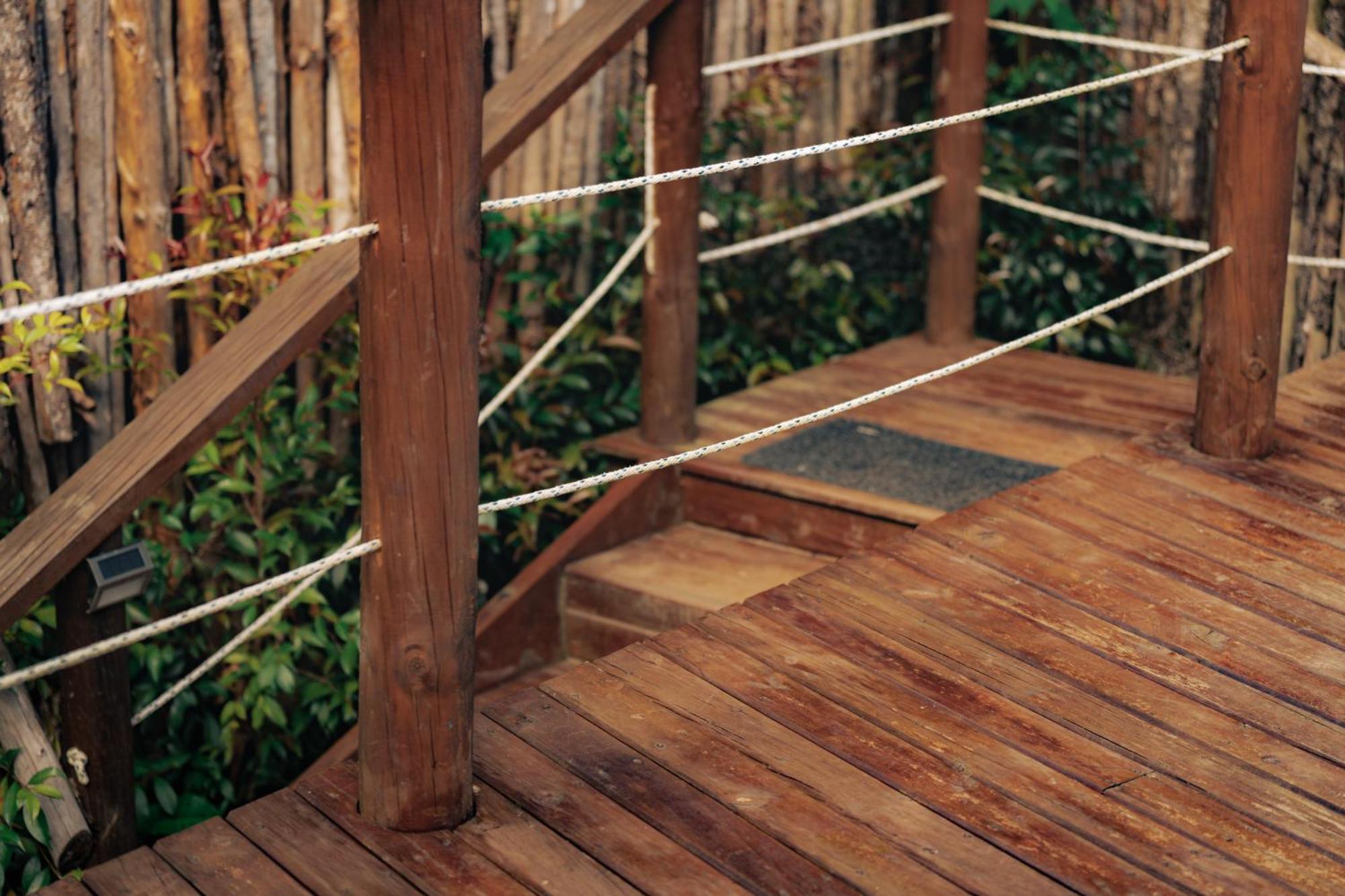 Bubblesky Glamping 15 Min From Medellin Hotell Rionegro Exteriör bild