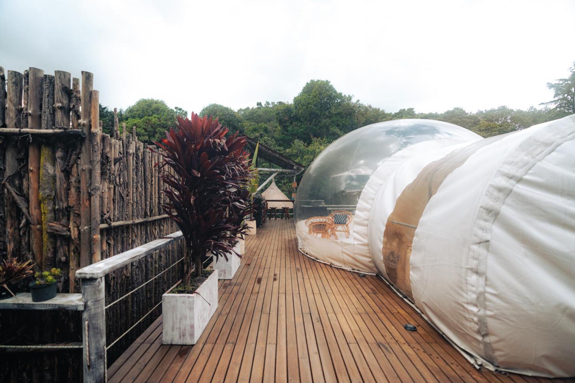 Bubblesky Glamping 15 Min From Medellin Hotell Rionegro Exteriör bild