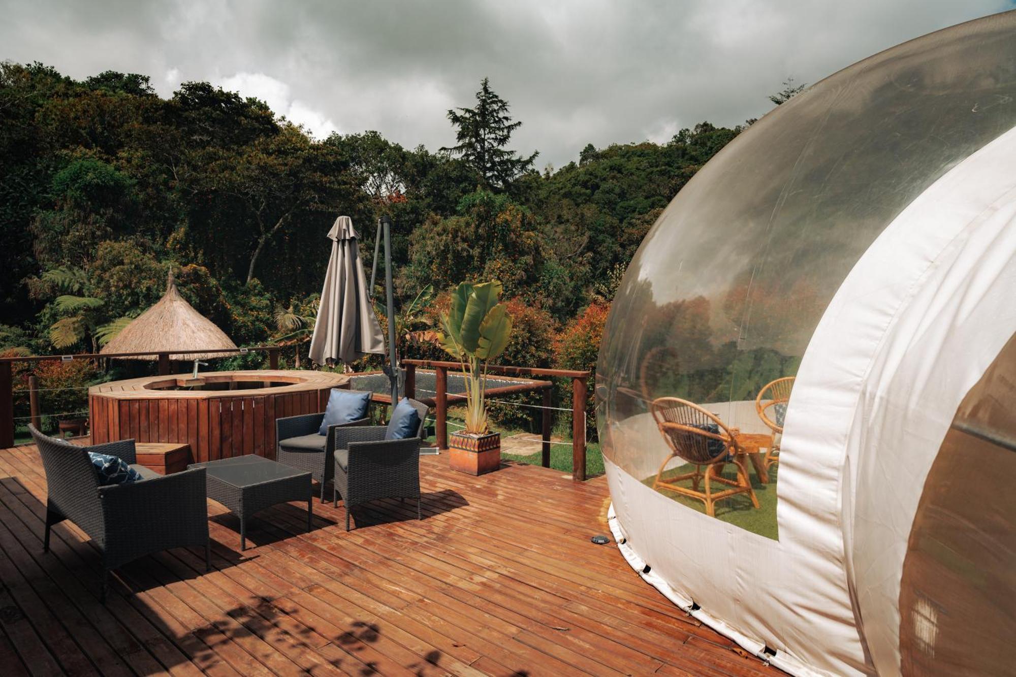 Bubblesky Glamping 15 Min From Medellin Hotell Rionegro Exteriör bild