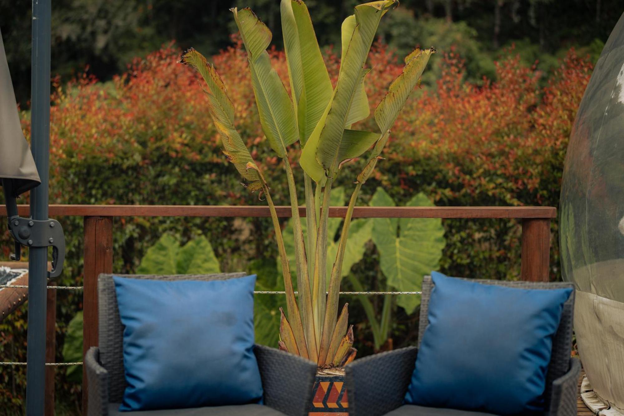 Bubblesky Glamping 15 Min From Medellin Hotell Rionegro Exteriör bild